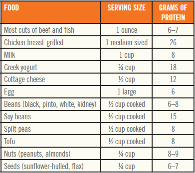 Protein Grams In Food Chart