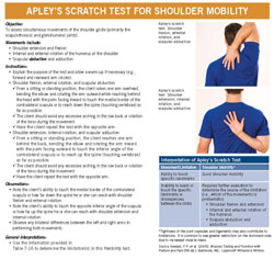 Shoulder Stabilization Exercises: Addressing Shoulder Structure & Function