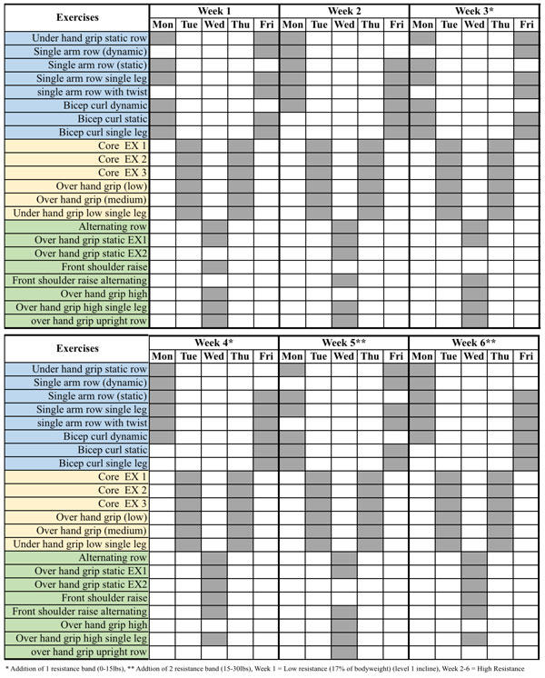 total gym elevate row