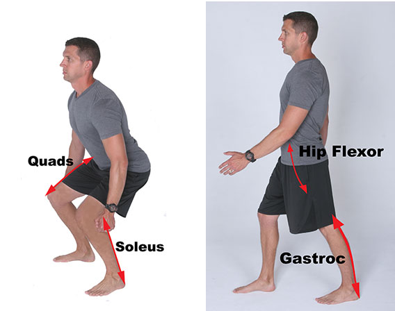 best soleus exercises