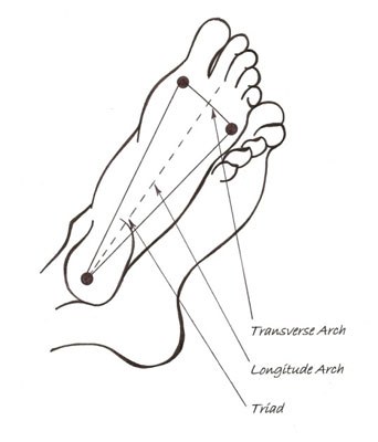 Getting to the Bottom of Barefoot Training