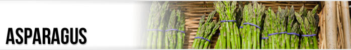 Asparagus