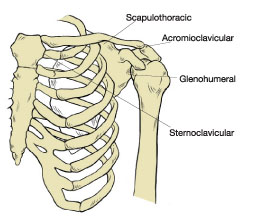 Correct Cues for Scapular Motion