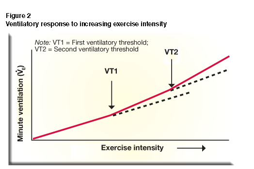 Ace Ift Model For Cardiorespiratory Training Phases 1 4