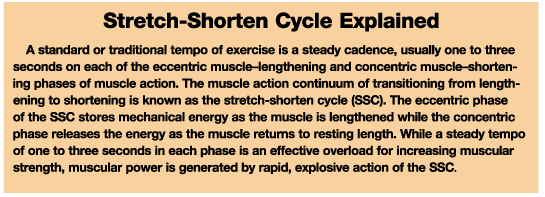 stretch shorten cycle