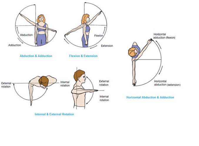 shoulder horizontal abduction