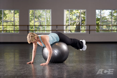 stability ball back extension