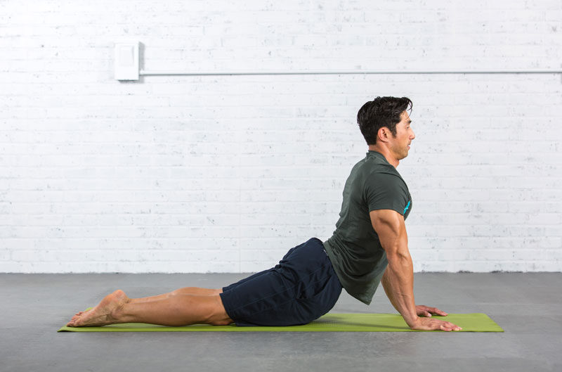 Best Yoga Poses For Weightlifters Blog Dandk