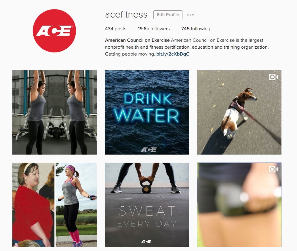Ace Fitness