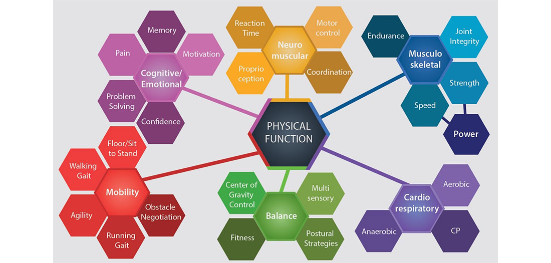 components-of-function