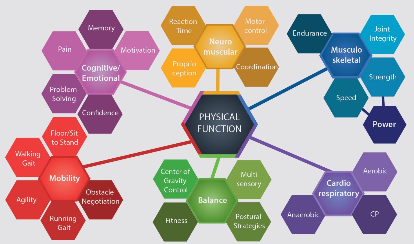 Functional Aging Training Model Copyright Functional Aging Institute 2018. Used with permission.  Note: CP = creatine phosphate system