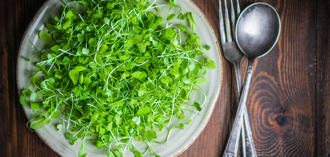 pea shoots on a plate