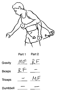 Motive and Resistive Force motive force diagram